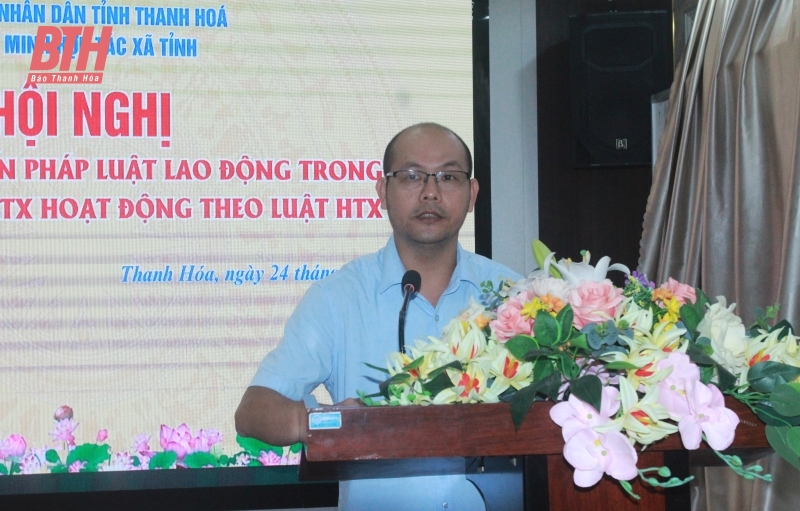 Tuyên truyền, phổ biến pháp luật lao động trong khu vực kinh tế tập thể, HTX