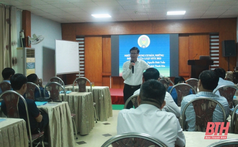 Tập huấn nghiệp vụ, hướng dẫn xây dựng điều lệ, phương án sản xuất kinh doanh, quy chế hoạt động cho các HTX điện năng