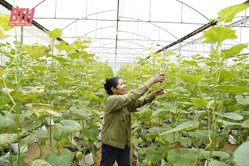 Ứng dụng khoa học - công nghệ, hình thành các mô hình nông nghiệp có giá trị kinh tế cao