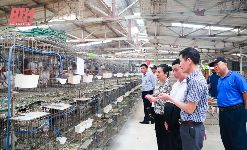 Hơn 200 đại biểu được tập huấn truyền thông về nông nghiệp, nông thôn