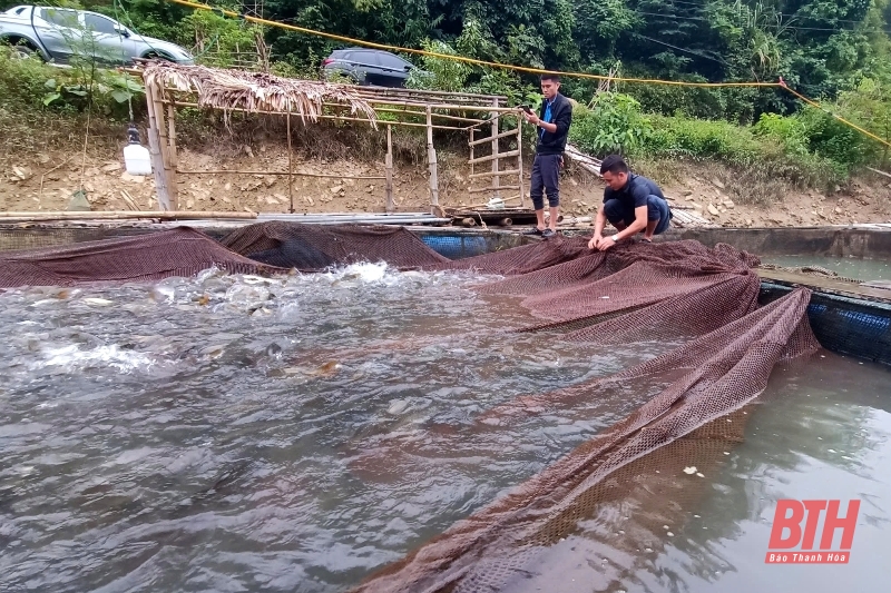Nuôi cá lồng bè trên lòng hồ thuỷ điện Trung Xuân