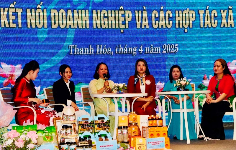 Diễn đàn kết nối doanh nghiệp, hợp tác xã và truyền thông xây dựng thương hiệu gắn với sự phát triển của hợp tác xã