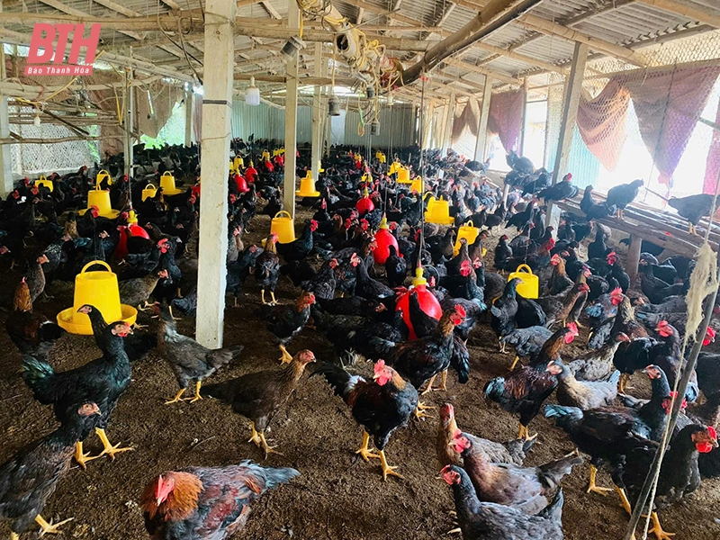 Hướng đến nền nông nghiệp xanh