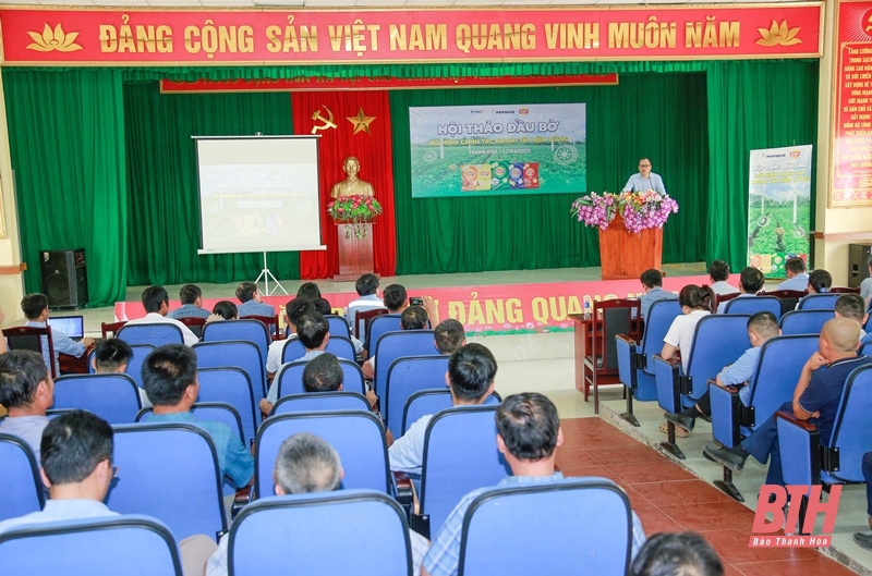 Đánh giá mô hình liên kết sản xuất giống khoai tây FL2215 chuyên phục vụ chế biến