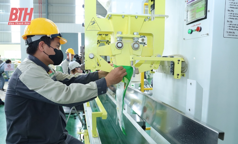 “Đổi mới sáng tạo” - Động lực bứt phá thương hiệu