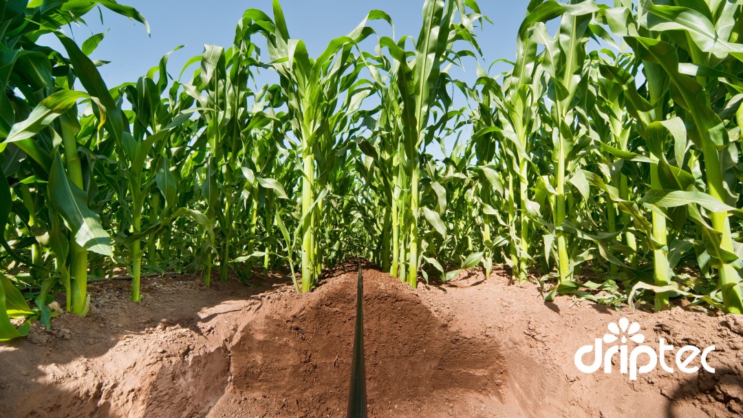 Nhà Bè Agri - Đơn vị chuyên về thiết bị tưới tiêu nông nghiệp