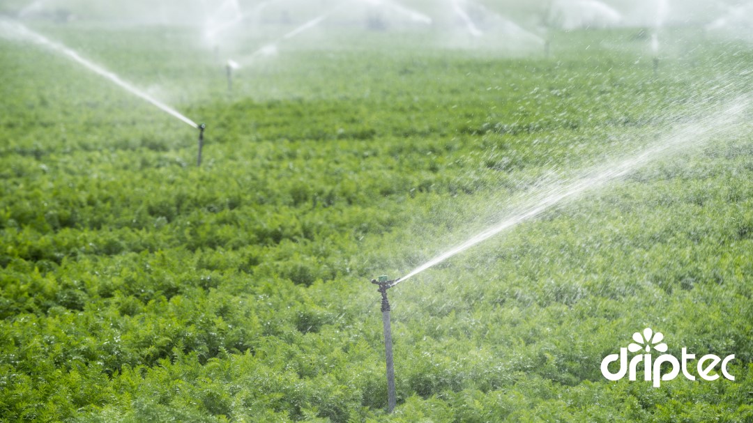 Nhà Bè Agri - Đơn vị chuyên về thiết bị tưới tiêu nông nghiệp