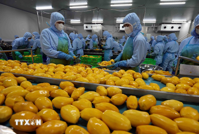 Thủ tướng chỉ đạo một số giải pháp trọng tâm thúc đẩy tăng trưởng kinh tế