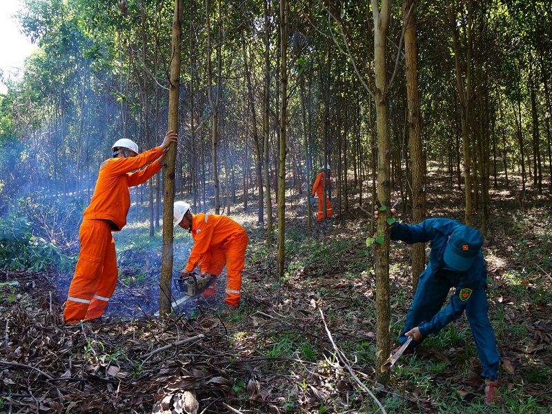 Công ty Điện lực Thanh Hóa tăng cường giải pháp đảm bảo cung ứng điện cho dịp nghỉ lễ 30/4, 1/5 và mùa hè 2025