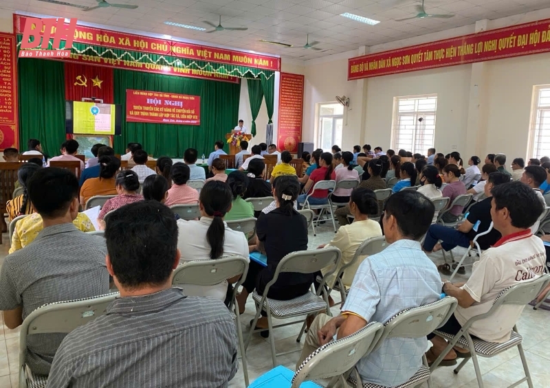 Tuyên truyền các kỹ năng về chuyển đổi số và quy trình thành lập HTX, liên hiệp HTX 