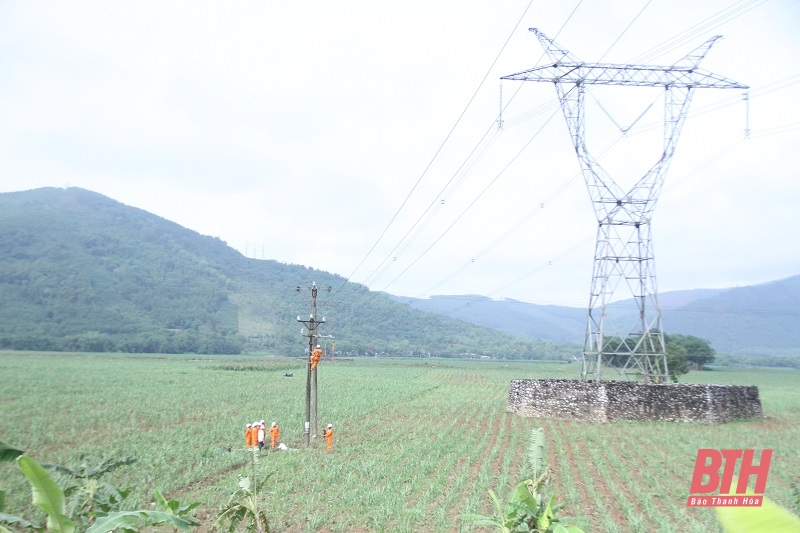 Công ty Điện lực Thanh Hóa nâng cao chất lượng chương trình diễn tập, sẵn sàng ứng phó thiên tai 