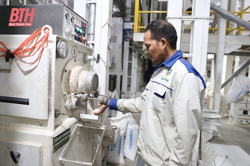 “Chìa khóa” nâng cao giá trị sản phẩm lúa gạo