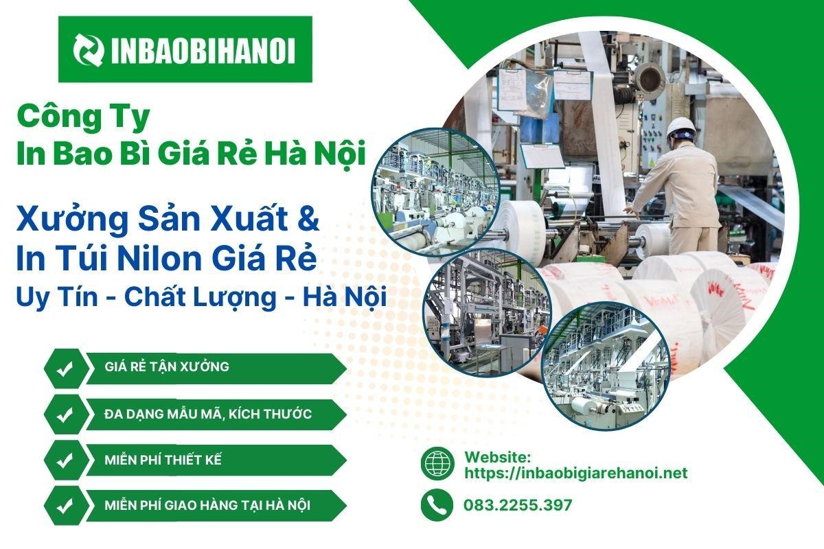 Dịch vụ in túi nilon giá rẻ, chất lượng tại Công ty In Bao bì giá rẻ Hà Nội