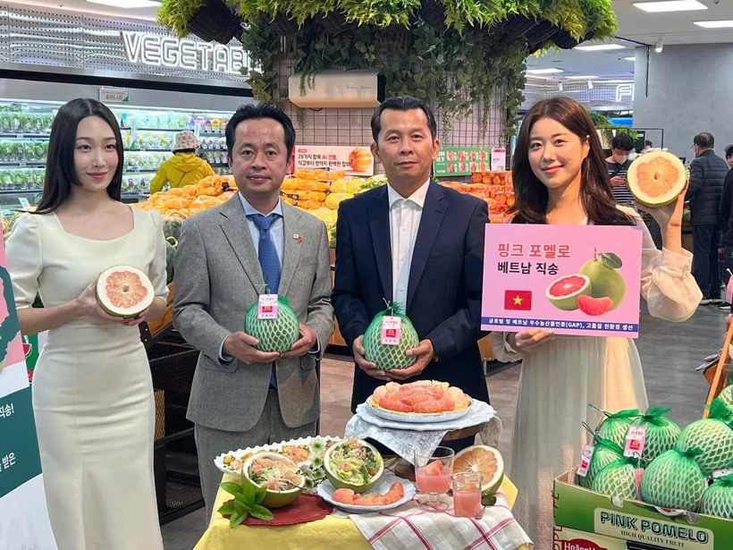Trái Bưởi Việt Nam chính thức có mặt trên kệ hàng của Lotte Mart Hàn Quốc