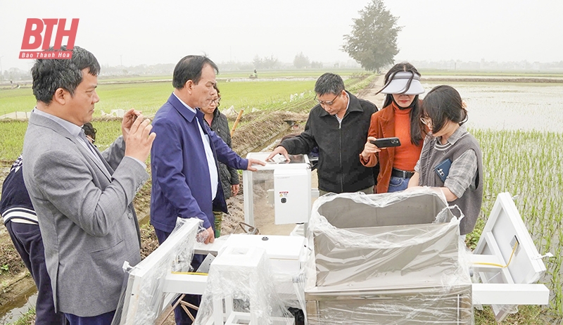 Ứng dụng trí tuệ nhân tạo trong sản xuất nông nghiệp