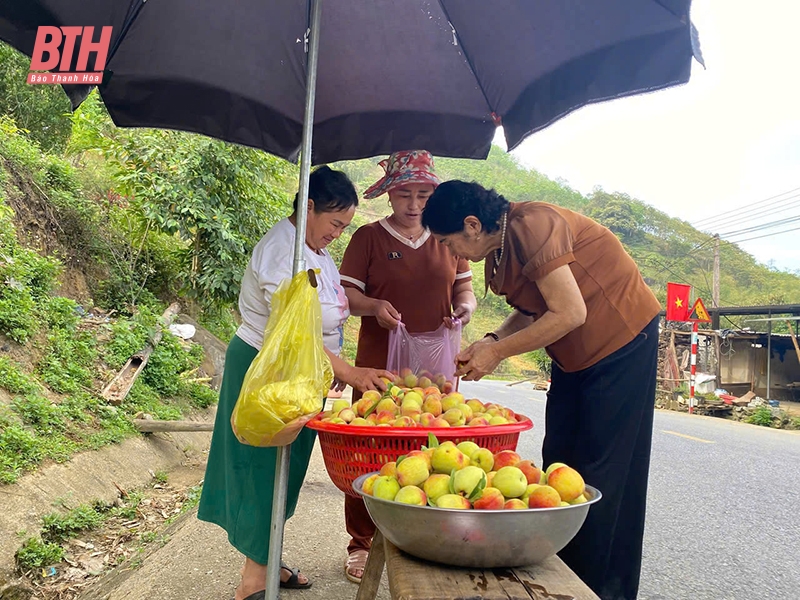 Mường Lát vươn mình: Hành trình thay đổi từ Nghị quyết 11-NQ/TU (Bài 1) - Mở hướng cho “vùng khó”