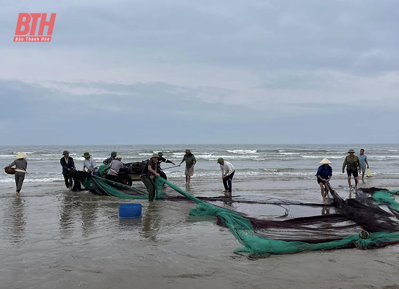 Mùa săn “lộc biển”