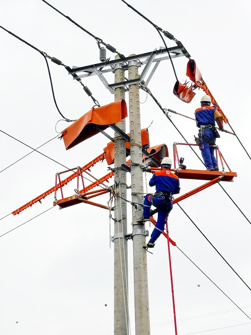 Đội Hotline Công ty Điện lực Thanh Hóa đối mặt với dòng điện “sống” để bảo đảm cấp điện liên tục