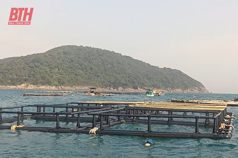 Sức sống mới ở Đảo Mê